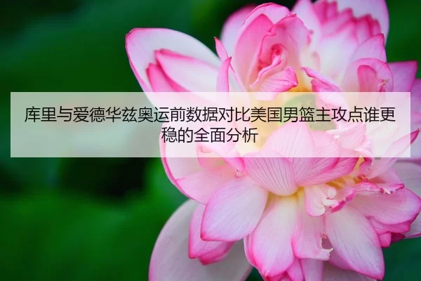 库里与爱德华兹奥运前数据对比美国男篮主攻点谁更稳的全面分析